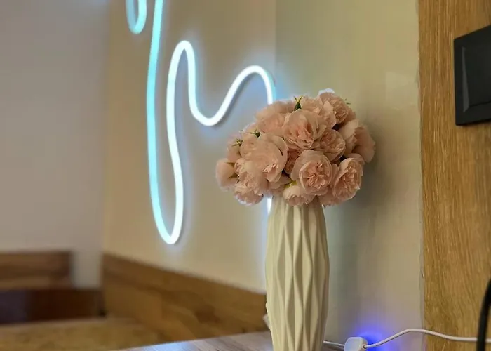 Pushapart Львів